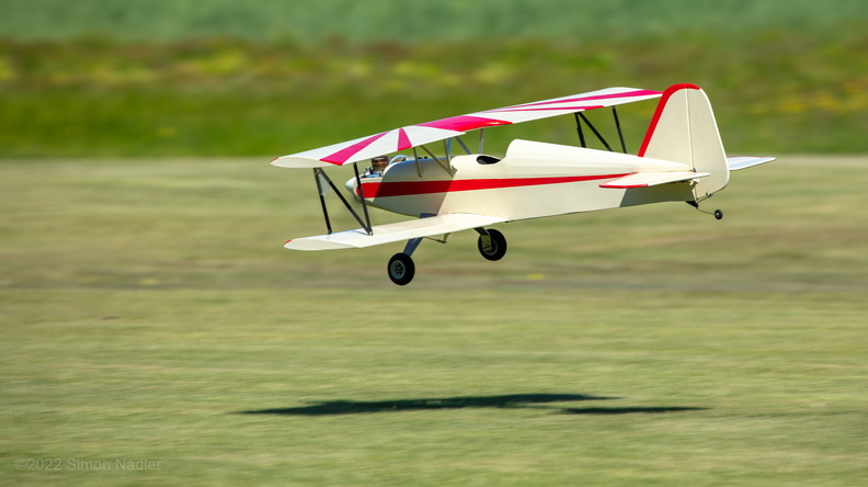20220604_1628_EdRaeFunFly.jpg