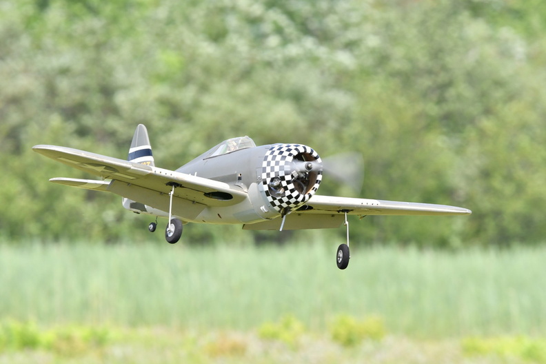 20250608_7165_EdRaeFunFly.jpg
