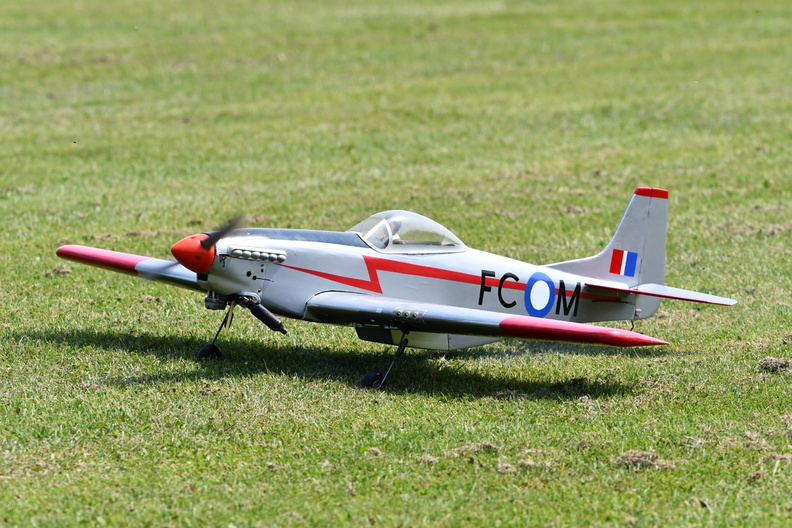 20250608_7202_EdRaeFunFly.jpg