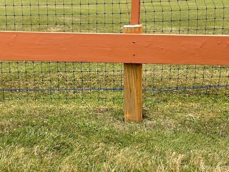 20251024_1735_FieldCleanUp.jpg